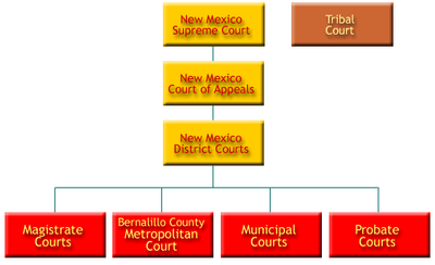 NM Courts Flow Chart